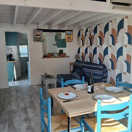 Primevere Saint-Gilles-Croix-de-Vie